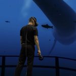 SteamVR (Valve)