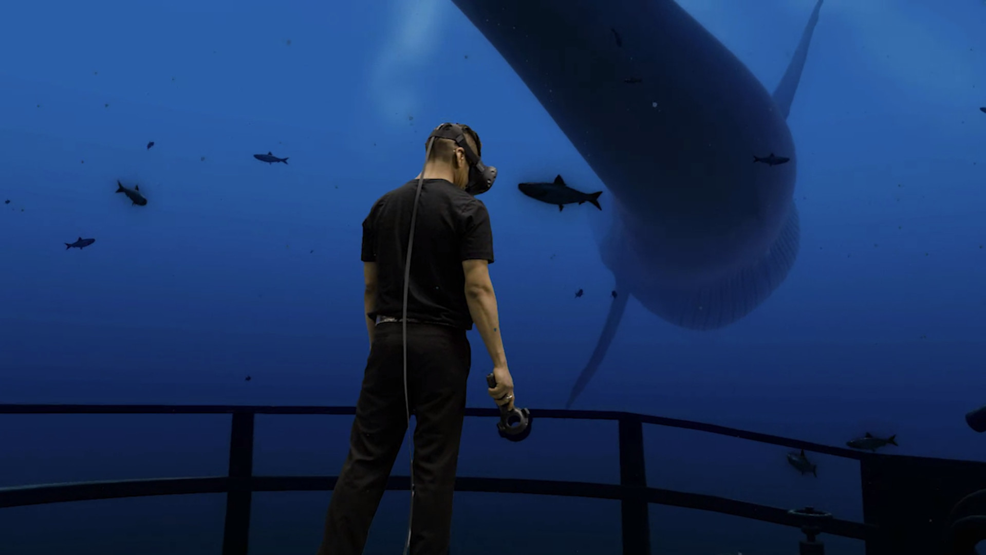 SteamVR (Valve)